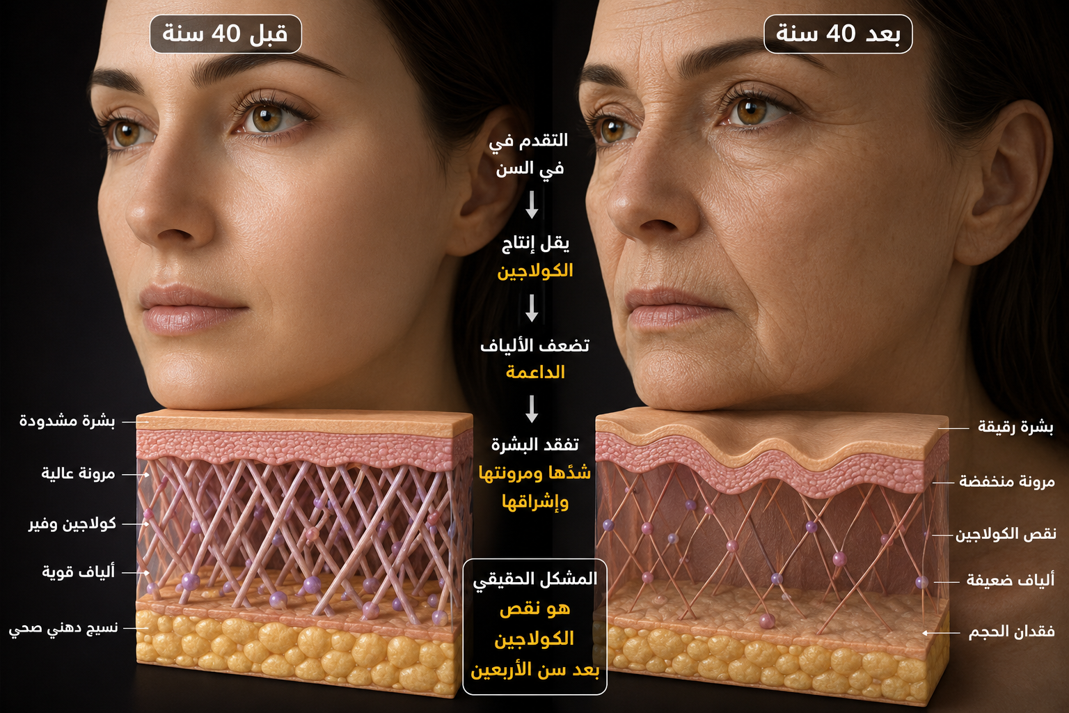 Skin molecule penetration diagram